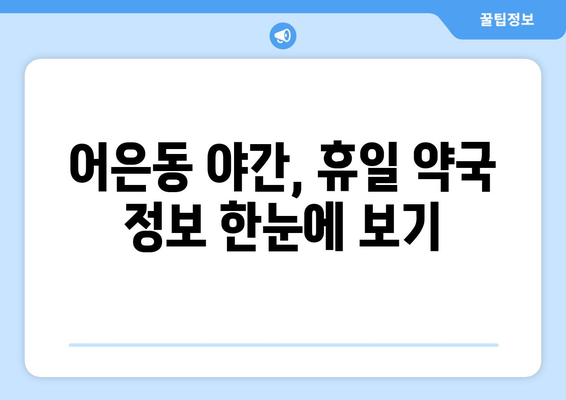 대전시 유성구 어은동 24시간 토요일 일요일 휴일 공휴일 야간 약국