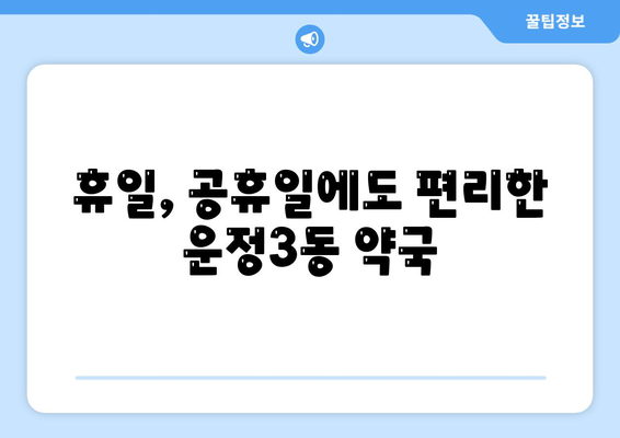 경기도 파주시 운정3동 24시간 토요일 일요일 휴일 공휴일 야간 약국