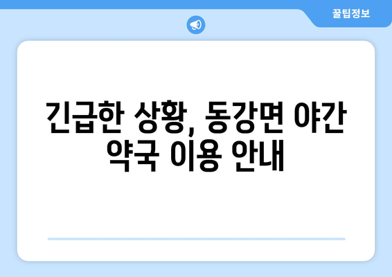 전라남도 고흥군 동강면 24시간 토요일 일요일 휴일 공휴일 야간 약국