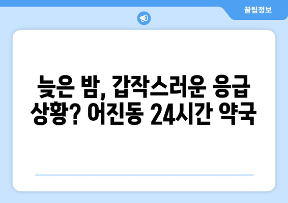 세종시 세종특별자치시 어진동 24시간 토요일 일요일 휴일 공휴일 야간 약국