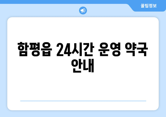 전라남도 함평군 함평읍 24시간 토요일 일요일 휴일 공휴일 야간 약국