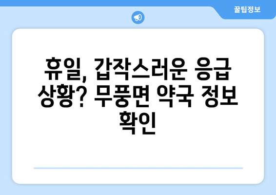 전라북도 무주군 무풍면 24시간 토요일 일요일 휴일 공휴일 야간 약국