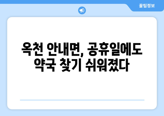 충청북도 옥천군 안내면 24시간 토요일 일요일 휴일 공휴일 야간 약국