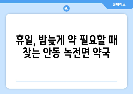 경상북도 안동시 녹전면 24시간 토요일 일요일 휴일 공휴일 야간 약국