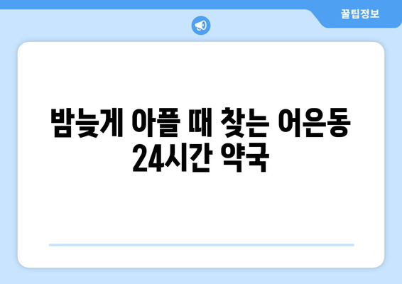 대전시 유성구 어은동 24시간 토요일 일요일 휴일 공휴일 야간 약국