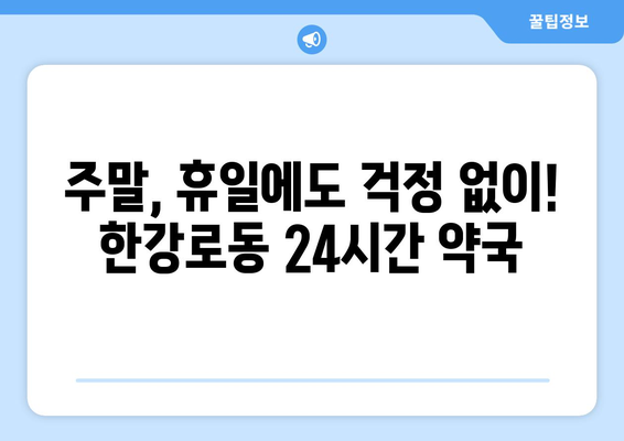 서울시 용산구 한강로동 24시간 토요일 일요일 휴일 공휴일 야간 약국