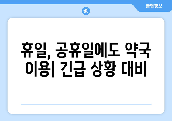 전라남도 완도군 군외면 24시간 토요일 일요일 휴일 공휴일 야간 약국