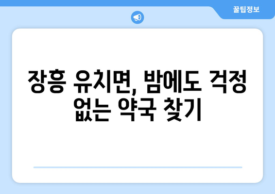 전라남도 장흥군 유치면 24시간 토요일 일요일 휴일 공휴일 야간 약국