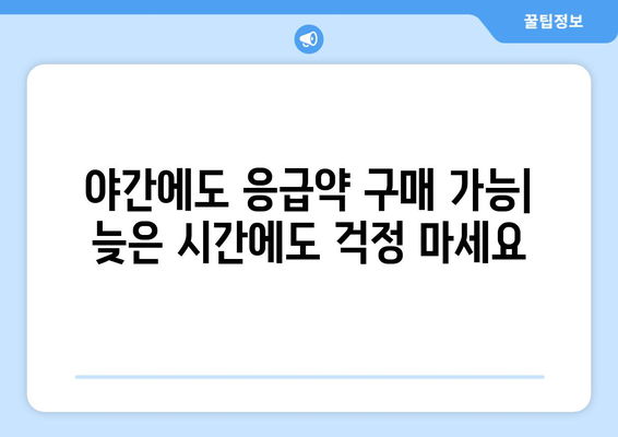 강원도 원주시 판부면 24시간 토요일 일요일 휴일 공휴일 야간 약국