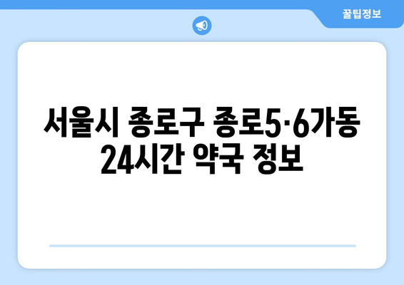 서울시 종로구 종로5·6가동 24시간 토요일 일요일 휴일 공휴일 야간 약국