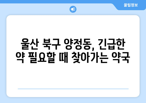 울산시 북구 양정동 24시간 토요일 일요일 휴일 공휴일 야간 약국