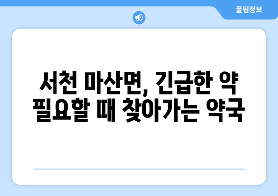 충청남도 서천군 마산면 24시간 토요일 일요일 휴일 공휴일 야간 약국