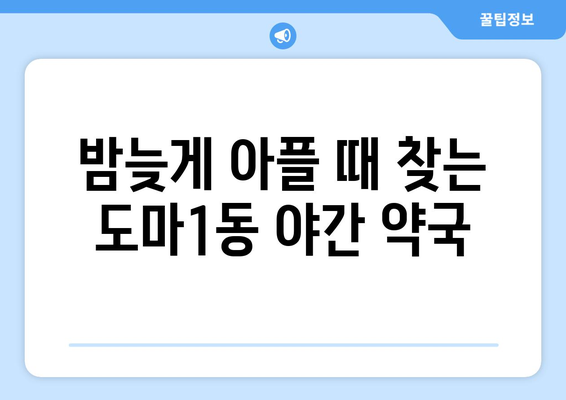 대전시 서구 도마1동 24시간 토요일 일요일 휴일 공휴일 야간 약국