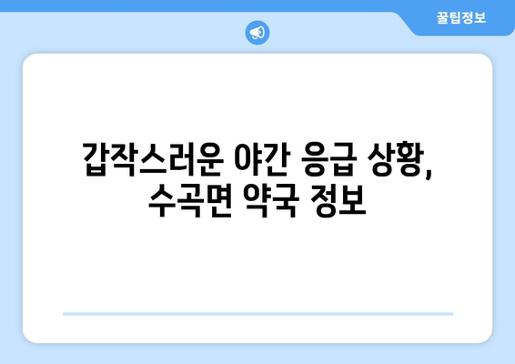 경상남도 진주시 수곡면 24시간 토요일 일요일 휴일 공휴일 야간 약국