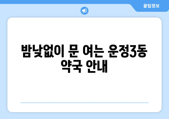 경기도 파주시 운정3동 24시간 토요일 일요일 휴일 공휴일 야간 약국