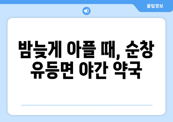 전라북도 순창군 유등면 24시간 토요일 일요일 휴일 공휴일 야간 약국