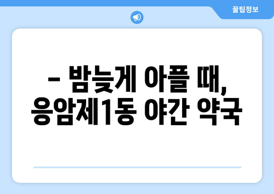 서울시 은평구 응암제1동 24시간 토요일 일요일 휴일 공휴일 야간 약국