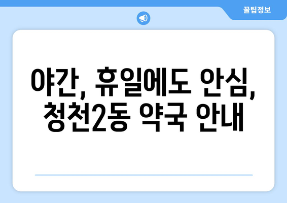 인천시 부평구 청천2동 24시간 토요일 일요일 휴일 공휴일 야간 약국