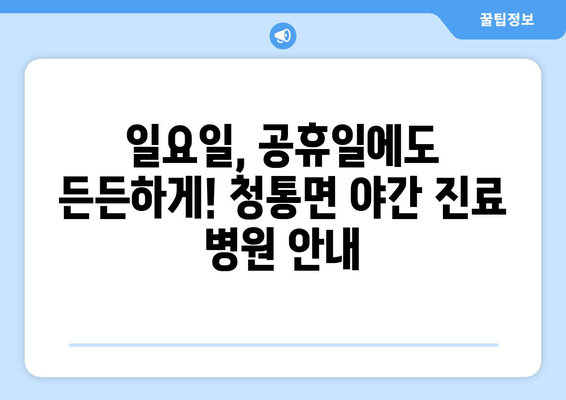 경상북도 영천시 청통면 일요일 휴일 공휴일 야간 진료병원 리스트