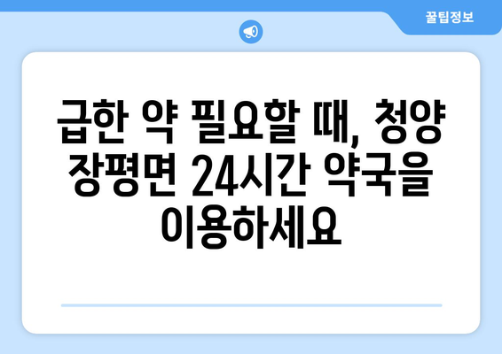 충청남도 청양군 장평면 24시간 토요일 일요일 휴일 공휴일 야간 약국