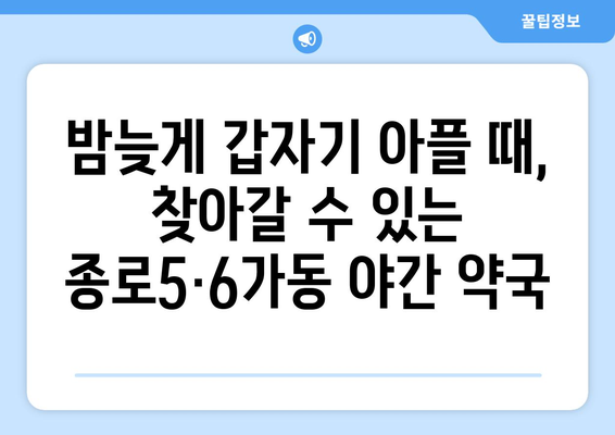 서울시 종로구 종로5·6가동 24시간 토요일 일요일 휴일 공휴일 야간 약국