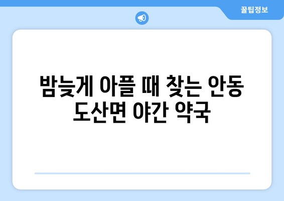 경상북도 안동시 도산면 24시간 토요일 일요일 휴일 공휴일 야간 약국