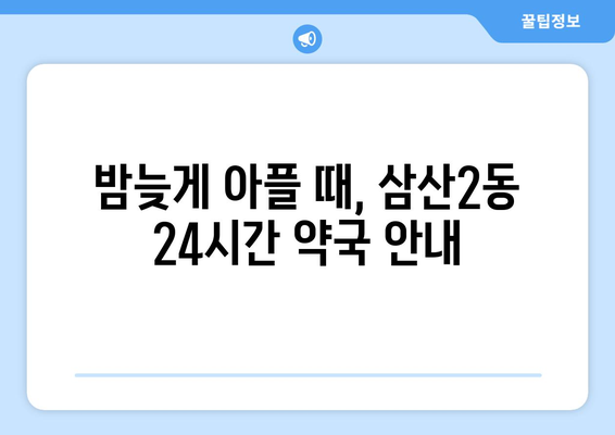 인천시 부평구 삼산2동 24시간 토요일 일요일 휴일 공휴일 야간 약국