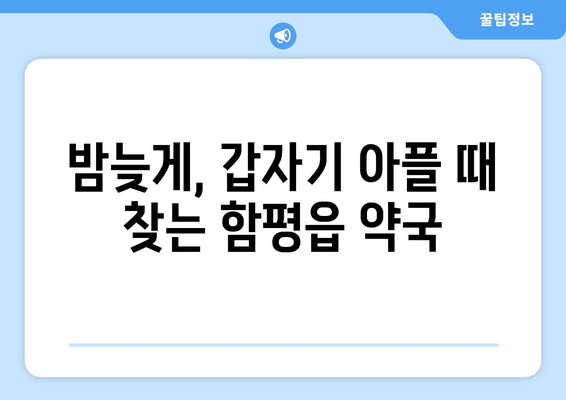 전라남도 함평군 함평읍 24시간 토요일 일요일 휴일 공휴일 야간 약국