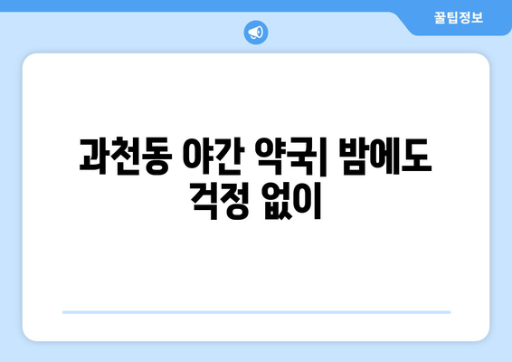 경기도 과천시 과천동 24시간 토요일 일요일 휴일 공휴일 야간 약국