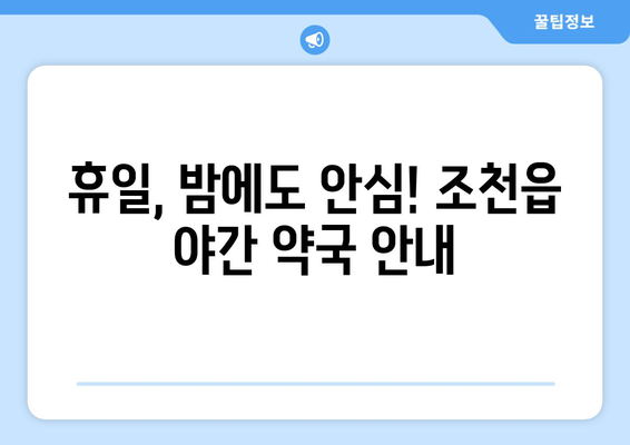 제주도 제주시 조천읍 24시간 토요일 일요일 휴일 공휴일 야간 약국