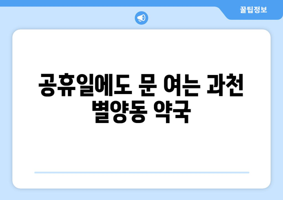 경기도 과천시 별양동 24시간 토요일 일요일 휴일 공휴일 야간 약국