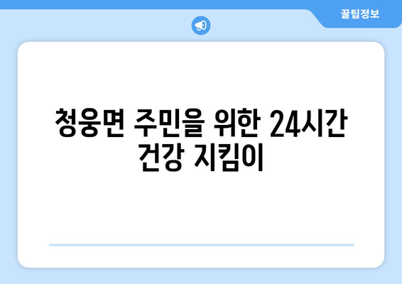 전라북도 임실군 청웅면 24시간 토요일 일요일 휴일 공휴일 야간 약국