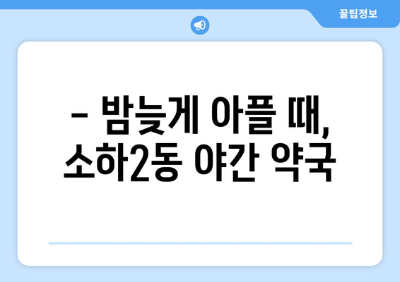 경기도 광명시 소하2동 24시간 토요일 일요일 휴일 공휴일 야간 약국