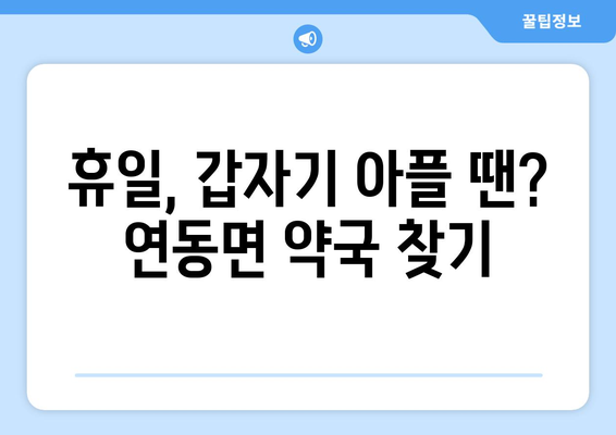 세종시 세종특별자치시 연동면 24시간 토요일 일요일 휴일 공휴일 야간 약국