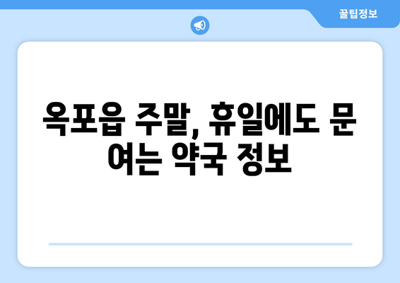 대구시 달성군 옥포읍 24시간 토요일 일요일 휴일 공휴일 야간 약국