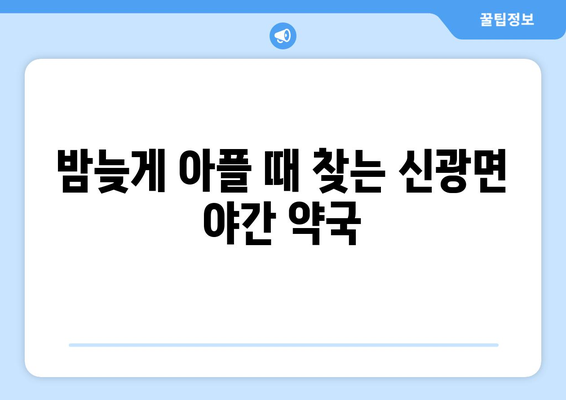 전라남도 함평군 신광면 24시간 토요일 일요일 휴일 공휴일 야간 약국