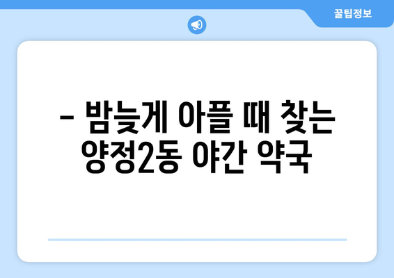 부산시 부산진구 양정2동 24시간 토요일 일요일 휴일 공휴일 야간 약국