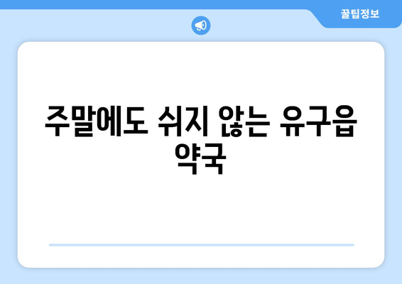 충청남도 공주시 유구읍 24시간 토요일 일요일 휴일 공휴일 야간 약국