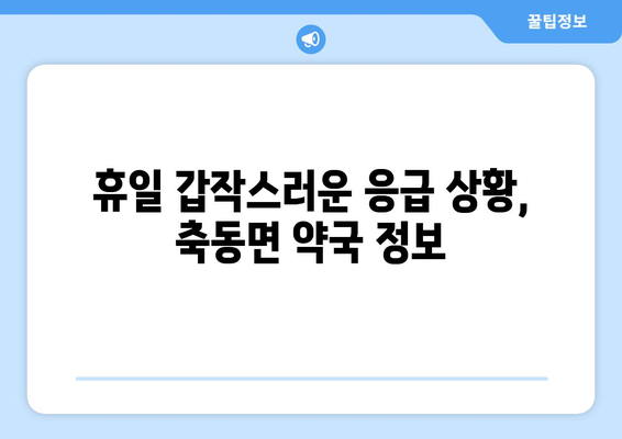 경상남도 사천시 축동면 24시간 토요일 일요일 휴일 공휴일 야간 약국