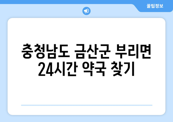 충청남도 금산군 부리면 24시간 토요일 일요일 휴일 공휴일 야간 약국