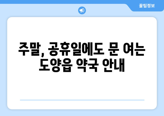 전라남도 고흥군 도양읍 24시간 토요일 일요일 휴일 공휴일 야간 약국