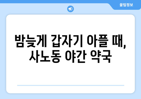 경기도 구리시 사노동 24시간 토요일 일요일 휴일 공휴일 야간 약국