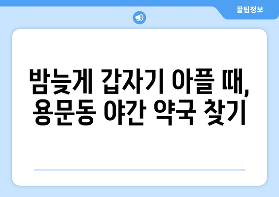 서울시 용산구 용문동 24시간 토요일 일요일 휴일 공휴일 야간 약국