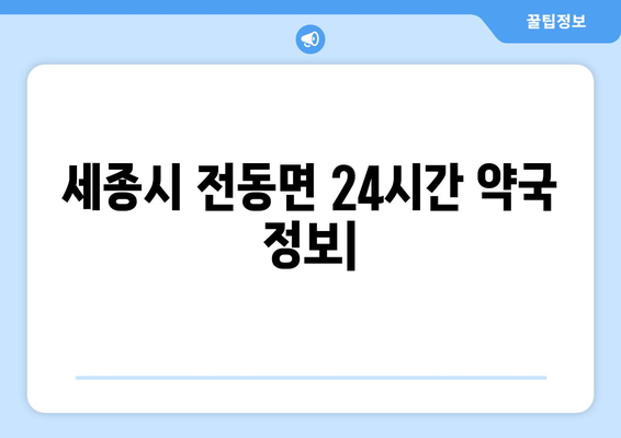 세종시 세종특별자치시 전동면 24시간 토요일 일요일 휴일 공휴일 야간 약국