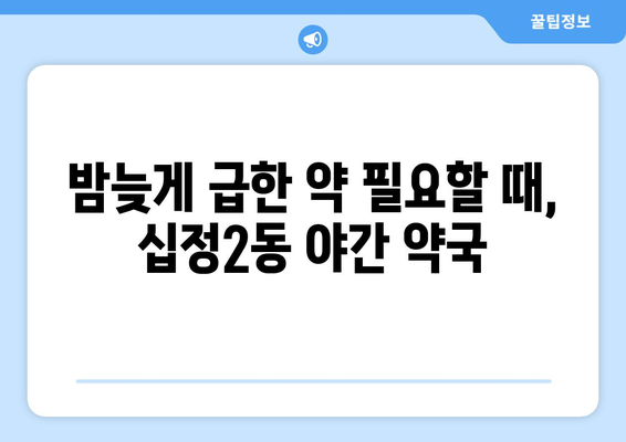 인천시 부평구 십정2동 24시간 토요일 일요일 휴일 공휴일 야간 약국