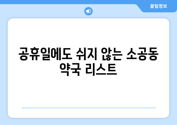 서울시 중구 소공동 24시간 토요일 일요일 휴일 공휴일 야간 약국