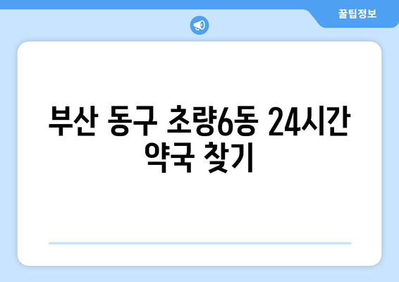 부산시 동구 초량6동 24시간 토요일 일요일 휴일 공휴일 야간 약국