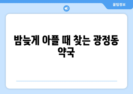 경기도 군포시 광정동 24시간 토요일 일요일 휴일 공휴일 야간 약국