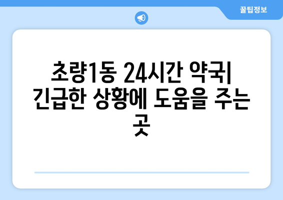 부산시 동구 초량1동 24시간 토요일 일요일 휴일 공휴일 야간 약국