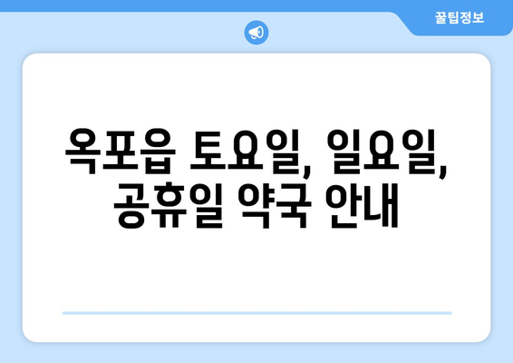 대구시 달성군 옥포읍 24시간 토요일 일요일 휴일 공휴일 야간 약국